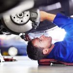 Companionship & Social Support